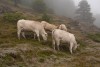 Avec Léa, Marius & Timothée, à la Summer School 2021 dans les Pyrénées.